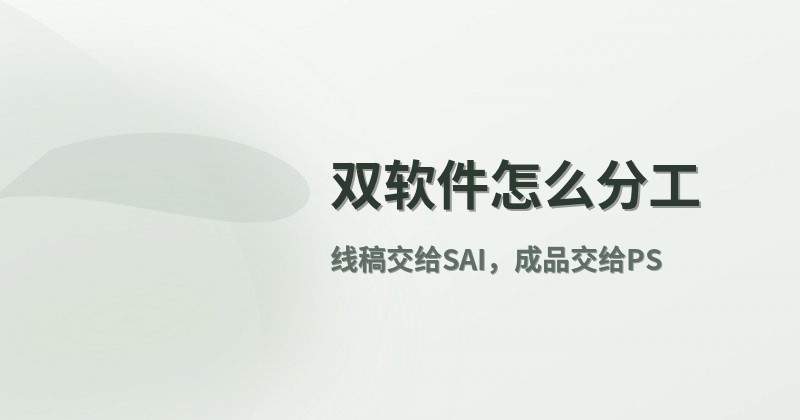 双软件怎么分工